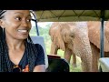 Namibia series| Omaruru travel VLOG | Elephants encounter