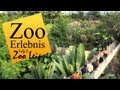 Zoo Leipzig - Zoo Erlebnis #2