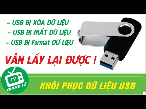 Video: Cách Khôi Phục Dữ Liệu Trên ổ USB Flash Sau Khi định Dạng