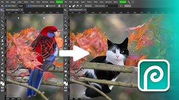 Photopea Magic Replace Ai Tool - Photoshop Generative Fill Free Alternative