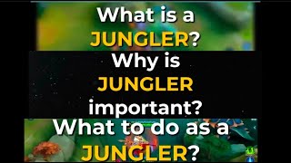 [mobile legend ] what to do and don't when playing as a jungler part#1