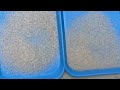 Amd rice sorter for broken rice sorting demo