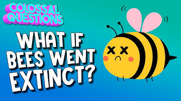 What If Bees Went Extinct? | COLOSSAL QUESTIONS
