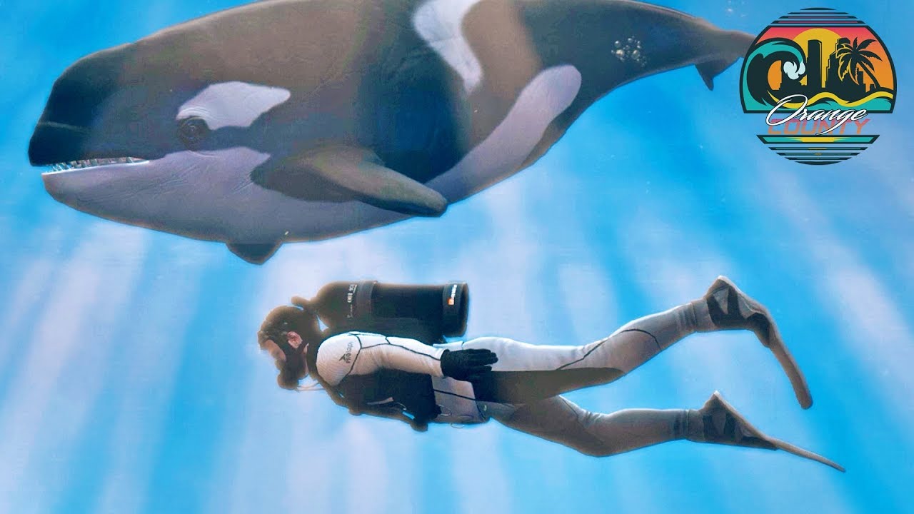 GTA 5 Roleplay OCRP 11 Scuba Diving Tour YouTube