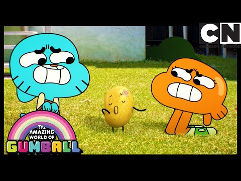 Şapşal | Gumball Türkçe | Çizgi film | Cartoon Network Türkiye