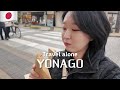 [일본 요나고 여행] ep.01. 요즘은 일본 시골이 유행이람서여? 그래서 일본의 소도시 &#39;요나고&#39;에 가보았습니다..