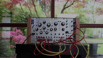 "colorful trees" ~ ambient eurorack modular // Mutable Instruments Plaits, Marbles, Clouds