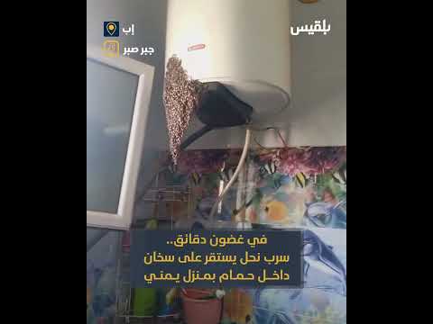 في غضون دقائق... سرب نحل يستقر على سخان داخل حمام بمنزل يمني