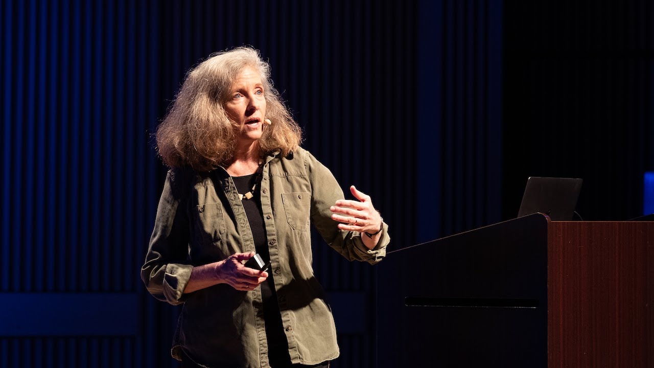 What Ancient and Modern Cities Have in Common — Monica L. Smith at Long Now architecture 101 izle