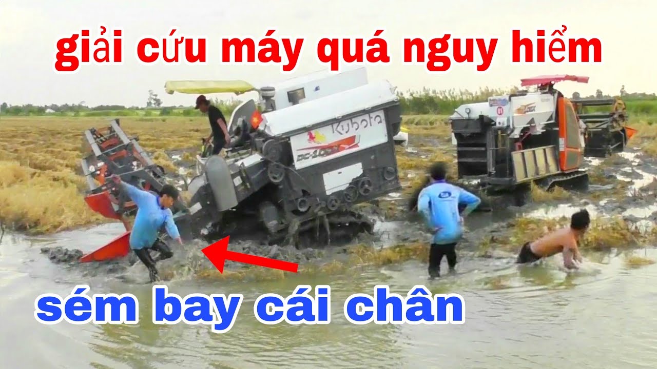 CẢNH GIẢI CỨU MÁY CẮT LÚA KUBOTA DC105X LẦY VUÔNG TÔM KHÔNG ĐƠN GIẢN