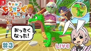 【リトルドラゴンズカフェ】3 ドラゴンの色の変化と成長とハグそしてパワフルズッキドン！【リトドラ】LIVE