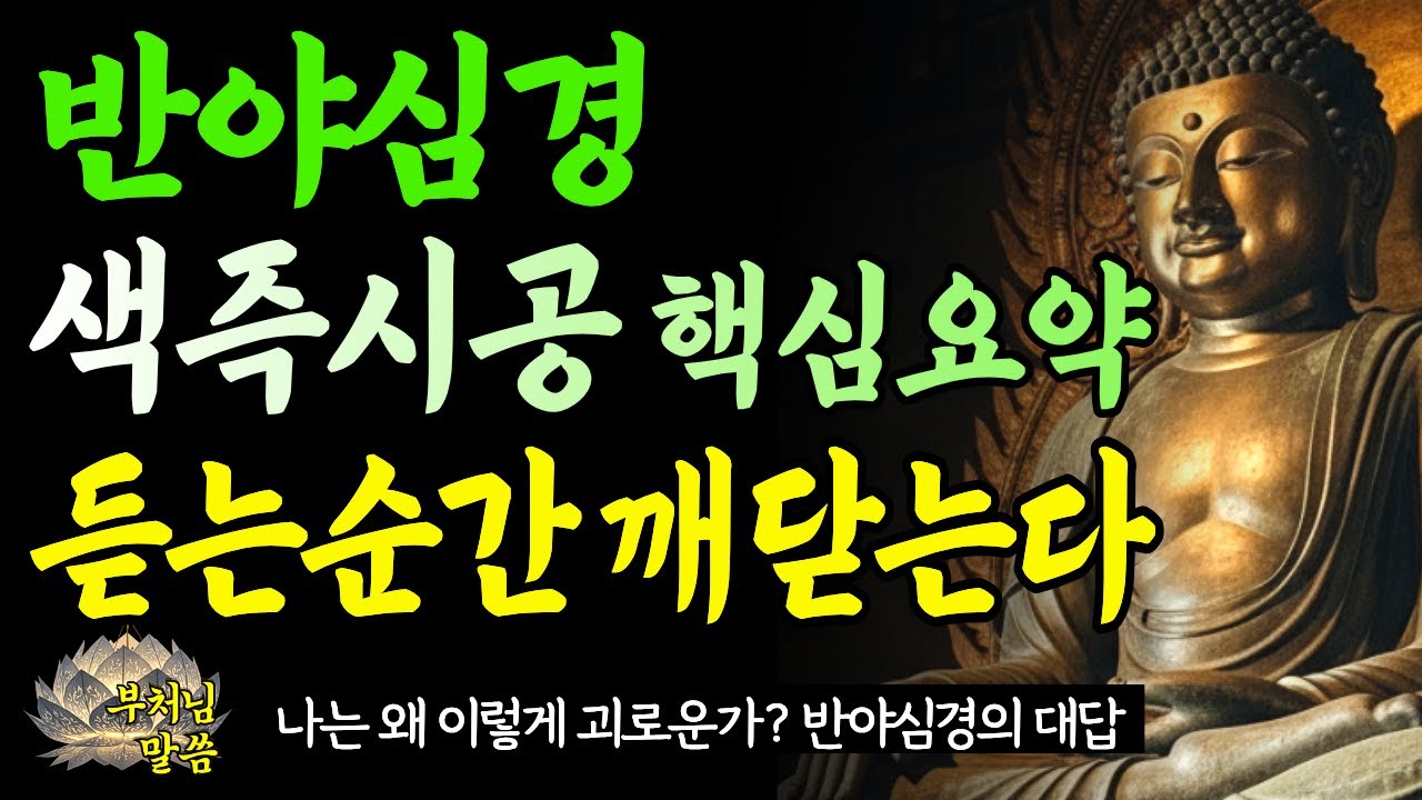 반야심경을 30년 외워도 삶이 안 바뀌는 이유 /색즉시공을 몰랐기 때문에 인생이 힘듭니다 / 부처님말씀 / 오디오북