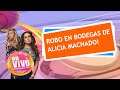 ALICIA MACHADO sufre saqueo en bodega de sus productos en LA | Chisme En Vivo