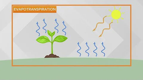 Dew point vs relative humidity