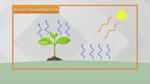 Dew point vs relative humidity
