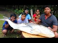 40 KG MONSTER COBIA FISH CUTTING AND COOKING IN VILLAGE | GIANT FISH CUTTING | FARMER COOKING
