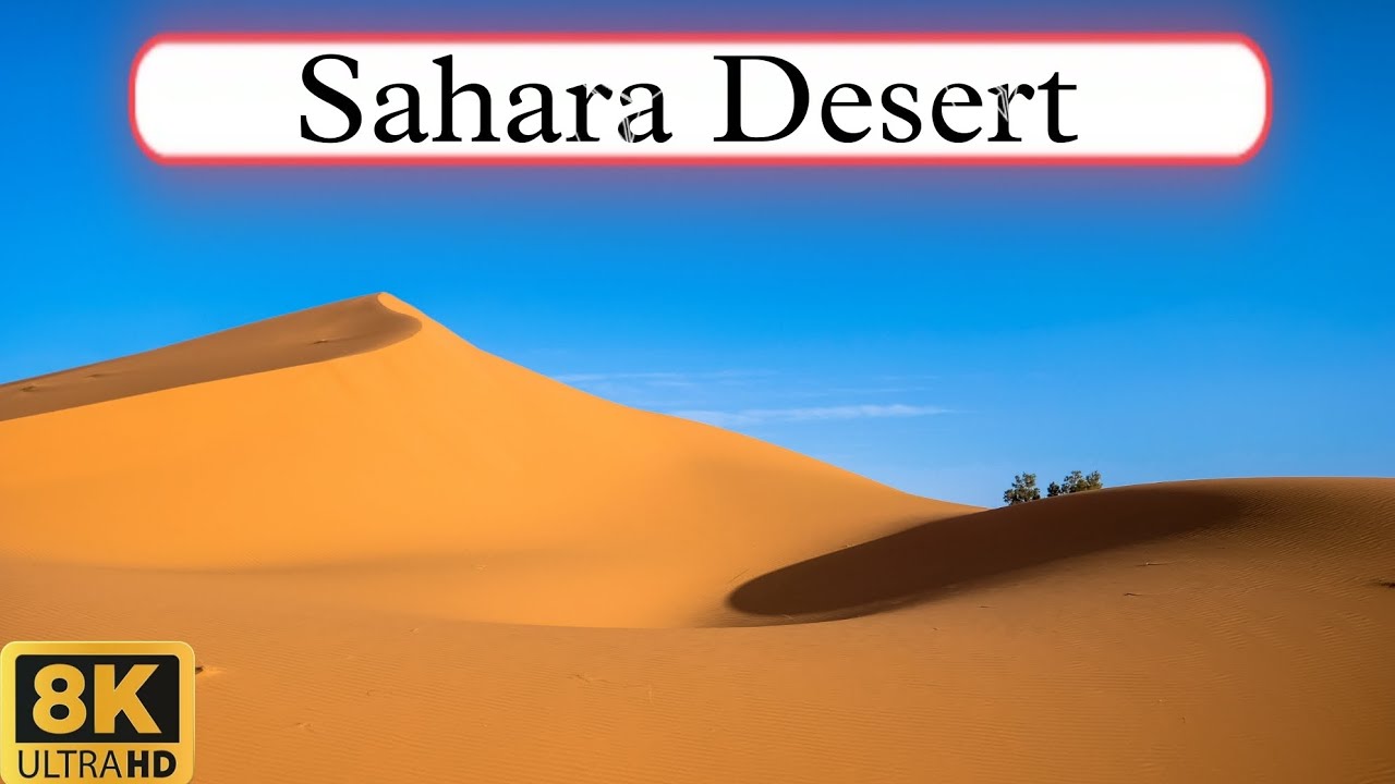 Explore Sahara Desert | सहारा रेगिस्तान |