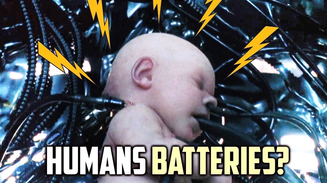 The Matrix: Human Batteries, Fact or Fiction? - YouTube