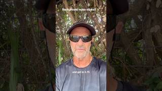60 Years Old + Full-Time Job | Wednesday 3.76 Mile Run 🏃‍♂️