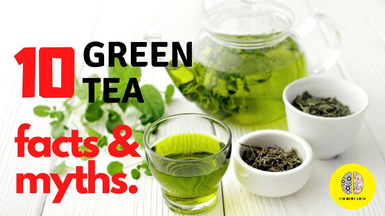 10 Green Tea Myths and Facts Is Green Tea Healthy? *Very Important