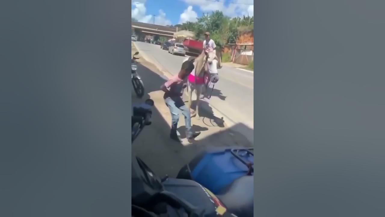 menino pula do cavalo e dança piseiro
