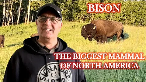 Camping in the Elk Island National Park of Edmonton Canada | Engr Saeed A. Khan, PEng