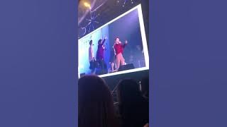 SEVENTEEN in CARATLAND 2019 DAY 3 - Dang Dang Dang SUPREME TEAM 17Project [fancam]