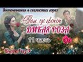 💓Там, где цветёт дикая роза💓 /11часть/ серия книг Воспоминания о скалистых горах 