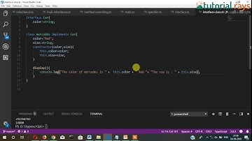 TypeScript Interface and Classses