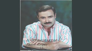 Garibin Şansı Resimi