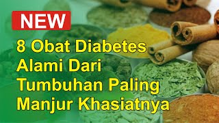 8 Obat Diabetes Alami Dari Tumbuhan Paling Ampuh Khasiatnya screenshot 2