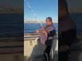 Fishing for monster fish #fishing #fish #fisherman #subscribe #shorts #short #shortsfeed #ocean #usa