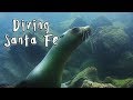 Galapagos Scuba Diving-Day5/5: Isla Santa Fe / Cave &amp; Short walk to Tortuga Bay