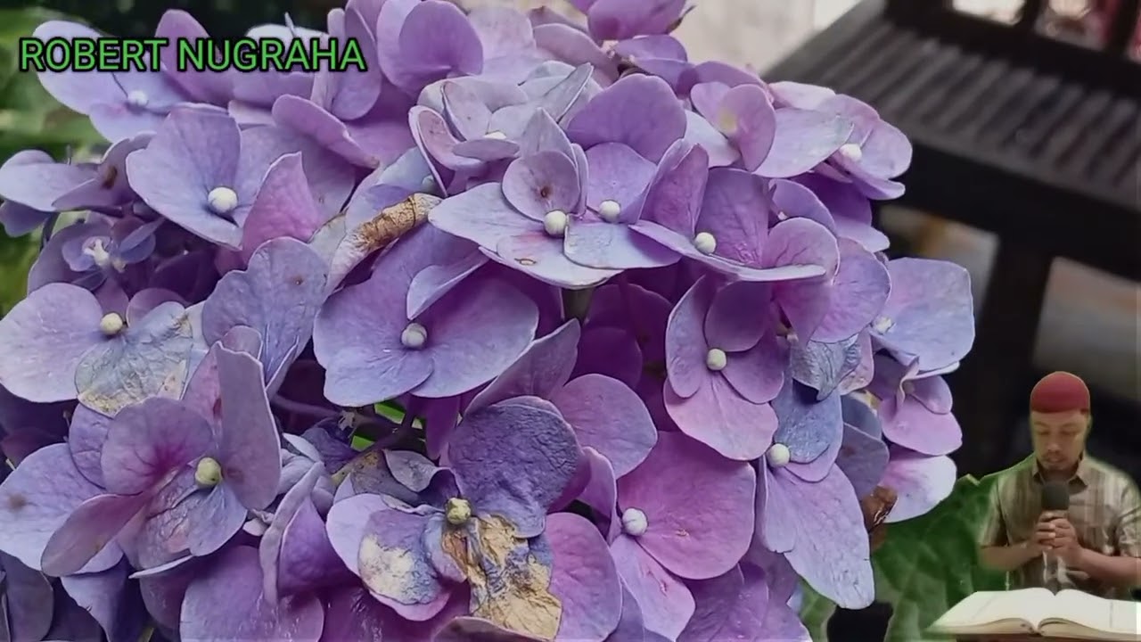 ХАР ҚАНДАЙ МУАММОНИНГ КАЛИТИ УШБУ ДУОДА МУЖАССАМ || дуолар, дуо, кучли дуолар