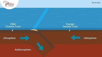 Convergence (oceanic crust)