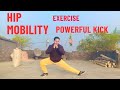 Hip mobility exercise for powerful kick | Stretches For High kick|Martial arts training and Fitness