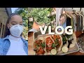 VLOG| Karen Update , Shop With Me , Im Back!!