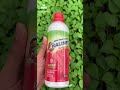 MENU KOMPLIT UNTUK SI EMAS MERAH‼ HASIL SPEKTAKULER &amp; LEBAT‼  #pupuk #pupukindonesia #bertani