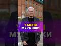 Память и оригинальность как ИИ меняет поэзию? #новости #ритейл #бизнес
