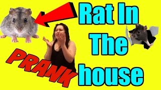 Mouse Prank On Mayra