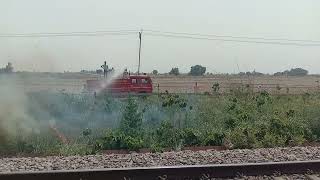 A fire lying in the forest was extinguished by fire brigade