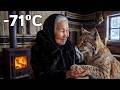 A 70 Year Old Woman Saved a Freezing Lynx Outside Her Cabin ❄️🦊