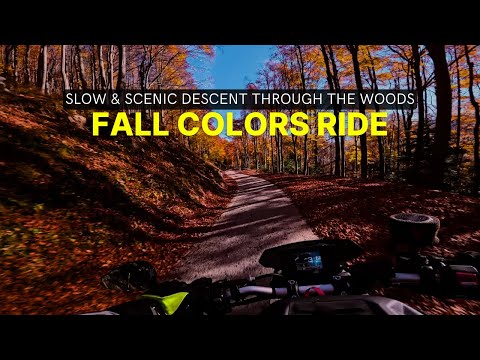 Riding Through Autumn Tunnels Relaxing Bondone Old Route POV 4K