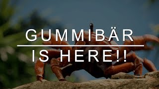 🦀 Crab Rave 🦀 Gummibär Mashup - Gummy Bear Song Remix