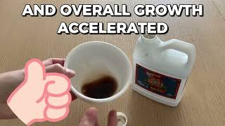 Watch Before Buying! Advanced Nutrients Sensi Cal Mag Xtra