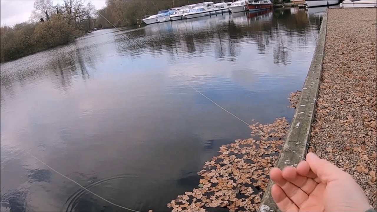 LRF lure fishing at Womack Staithe on the Norfolk Broads YouTube