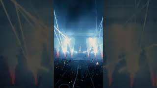  Viperactive  Snakebite   At Force Fields 2025