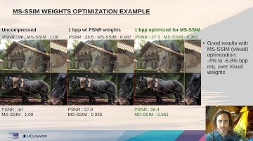 Adapting JPEG XS gains and priorities to tasks and contents