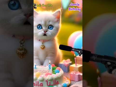 HAPPY BIRTHDAY TO YOU JAMILA HAPPY BIRTHDAY SONG WITH NAMES Adorable Cute Cat Cat Cute 