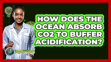 How Does The Ocean Absorb CO2 To Buffer Acidification? - Earth Science Answers